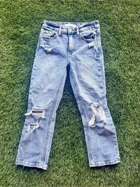 Willow + Root BUCKLE Light Blue Distressed Straight-Leg Jeans